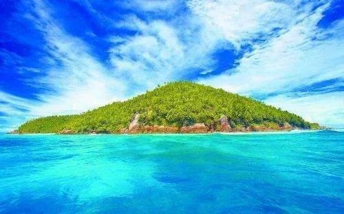 【主播跑两会】李世瑶代表：以专业优势助力乡村振兴
