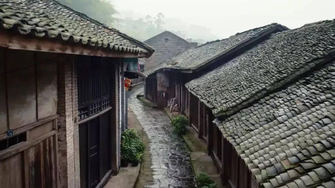 两会提案 | 杨光委员：补齐托育服务短板，促进婴幼儿照护高质量发展